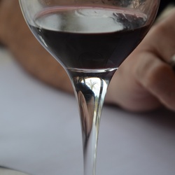 2016-12-10 Bordeaux/Cap Ferret/DSC_0211.JPG